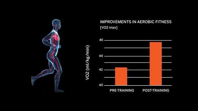 The Scientific Proof - BionicGym